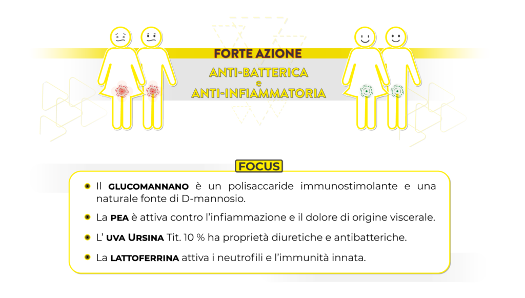 CistilexPlus_FOCUS